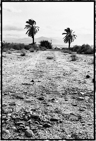 Salton Sea Landscape