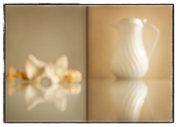 Bones and Pitcher Diptych