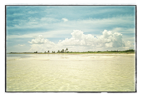 Key West Ocean View